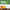 ORGANIC COMPOST (2KG) (QF005)