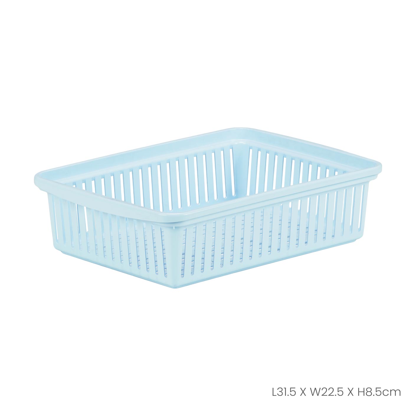 SMALL OBLONG TRAY (0320)
