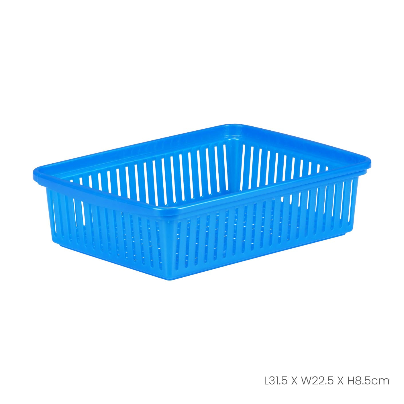 SMALL OBLONG TRAY (0320)