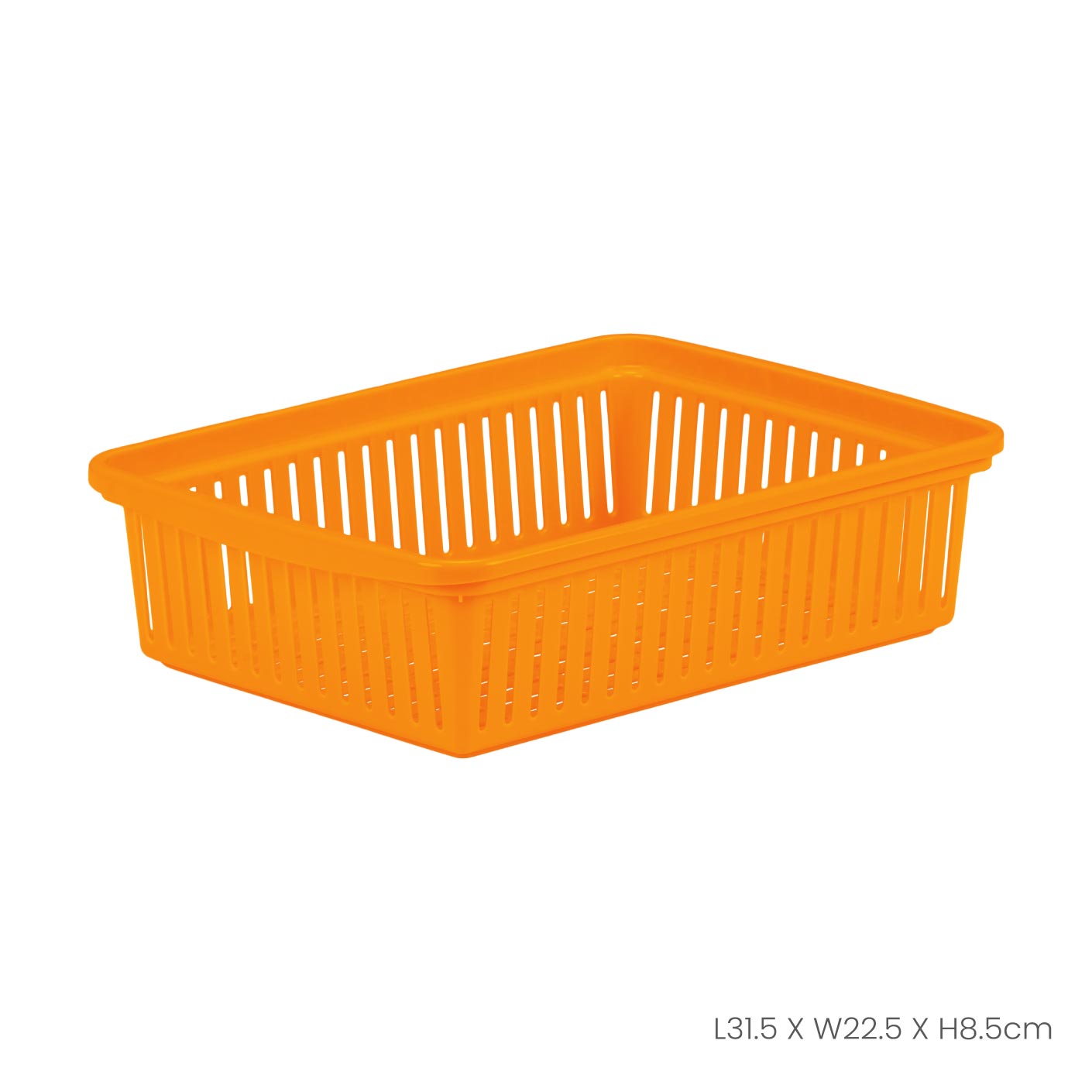 SMALL OBLONG TRAY (0320)