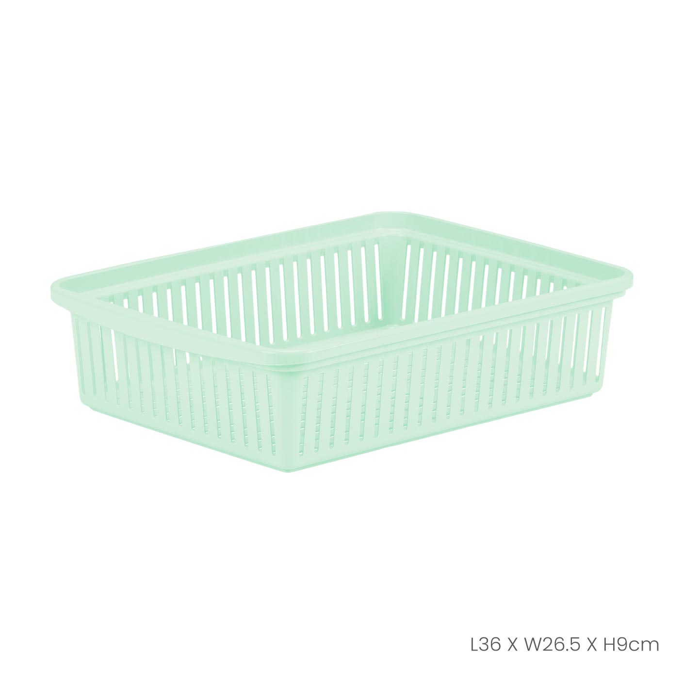 MEDIUM OBLONG TRAY (0360)