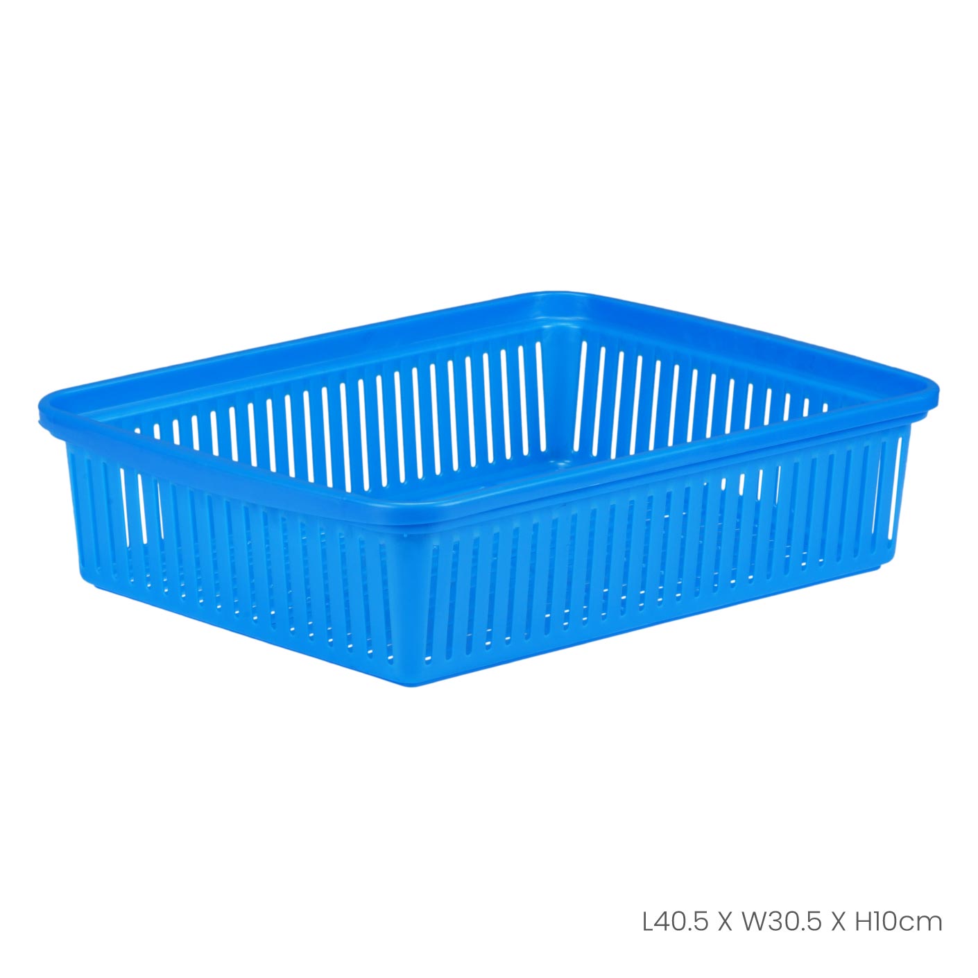 LARGE OBLONG TRAY (0400)