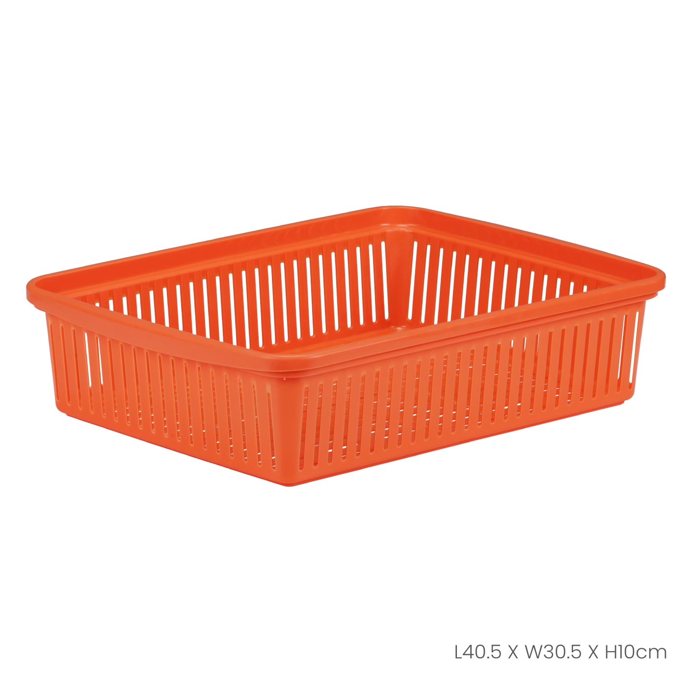 LARGE OBLONG TRAY (0400)