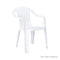 POLTRONA ARM CHAIR (160)