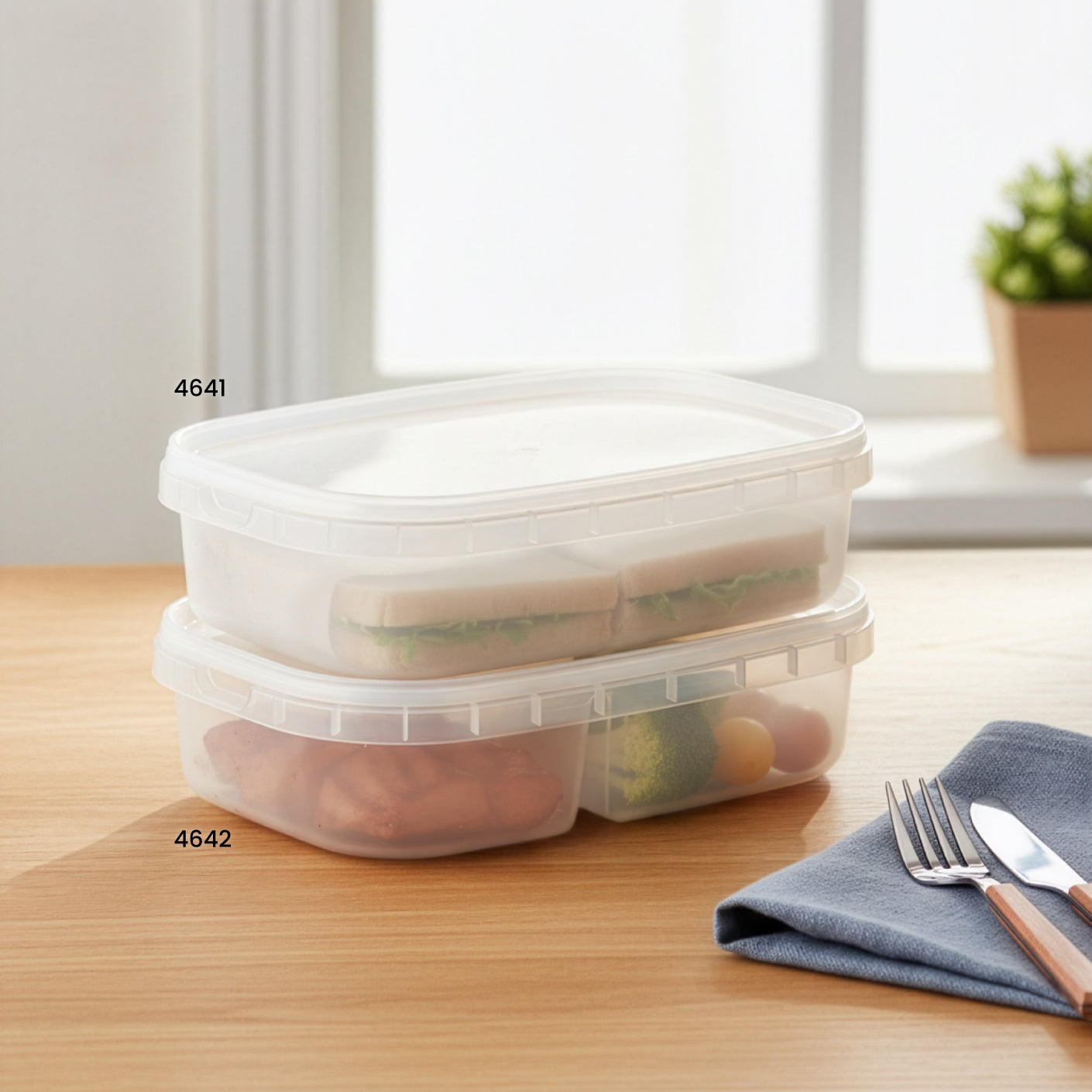 LUNCH BOX 2 SECTION (4642)