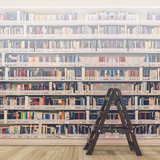 4 STEP PLASTIC LADDER (7743)