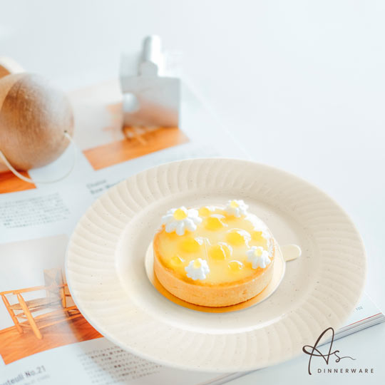 8" RIM PLATE 6PC/PKT (AS2408-6M)