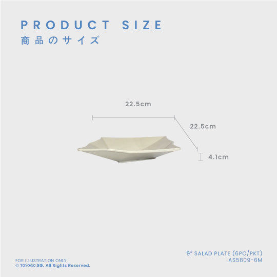 9" SALAD PLATE 6PC/PKT (12PKT/CTN) (AS5809-6M)