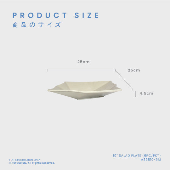 10" SALAD PLATE 6PC/PKT (12PKT/CTN) (AS5810-6M)