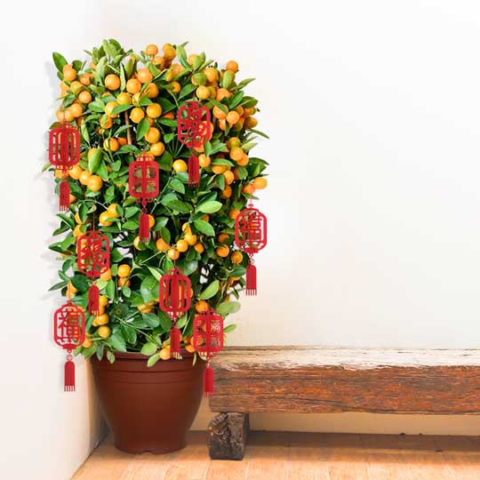 FLOWER POT PLAIN/RD (GP-3005)