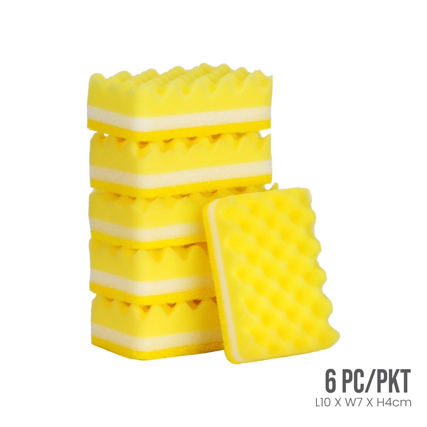 SPONGE PAD 6S J-8079COL (HFH1262)